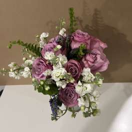 Pink Blooms