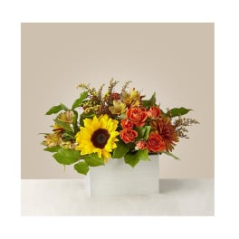 Sunflower and orange rose arrangement in a white box