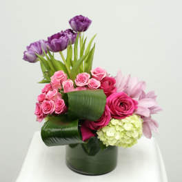 Vibrant Blooms
