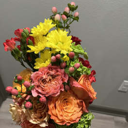 Spring Blooms