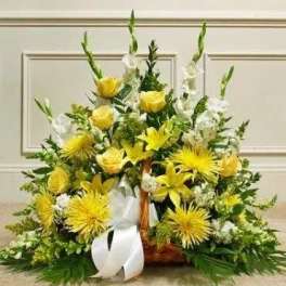 Yellow and white Floor Spray