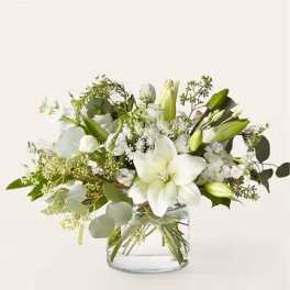 White Bride