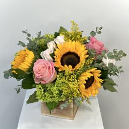 Sweet Sunflowers