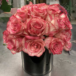 Two Dozen Roses