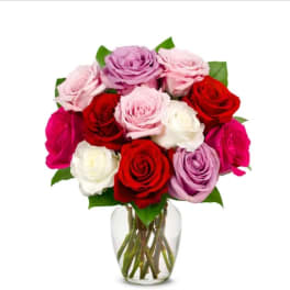 12 Rose Mixes