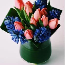 Bold and Beautiful