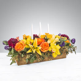 Full Harvest by BloomNation™