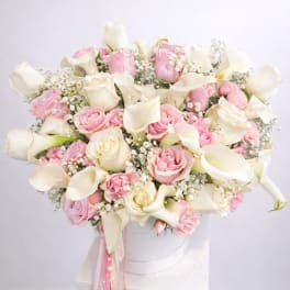 Calla Lily Love