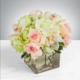 Elegant by BloomNation™