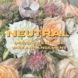 Soft & Neutral Designer’s Choice