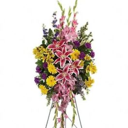 Rainbow Of Remembrance Spray
