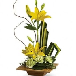 Bamboo Artistry
