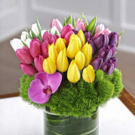 Colorful tulip arrangement in a glass vase with a purple orchid accent