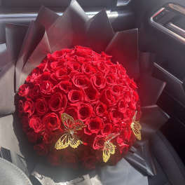 Large dome bouquet of red roses wrapped in black paper with gold butterfly accents