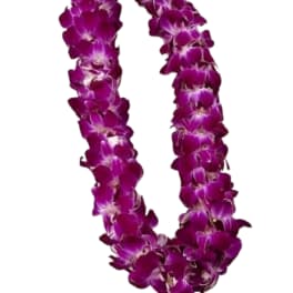 Purple orchid lei on a white background