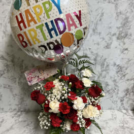Surprice Roses / Rosas Sorpresa