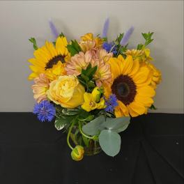 Sunflower Daydream by Chasing Petals