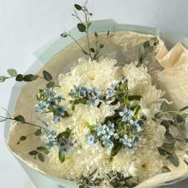 Bluebell Cloud