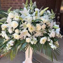 Serene Tribute
