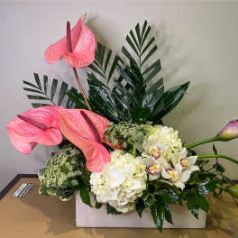 Modern Elegance by Chasing Petals