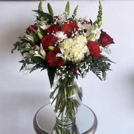 Red & White Delight