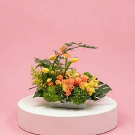 Glorious Cascade