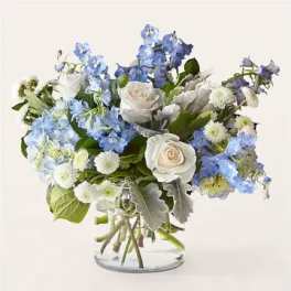 Carriage in Blue