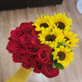 SUN ROSES