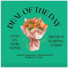 Bouquet of multicolored tulips wrapped in pink paper on a teal background