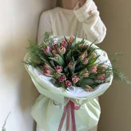 Red delicate tulips