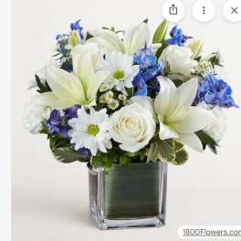 BEAUTIFUL BLUE
