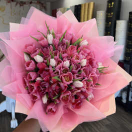 Spring Romance
