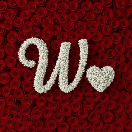 Baby's Breath Letter - W