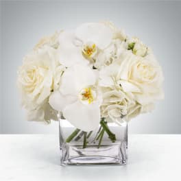 Linen by BloomNation™