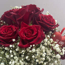 Love , Just Because