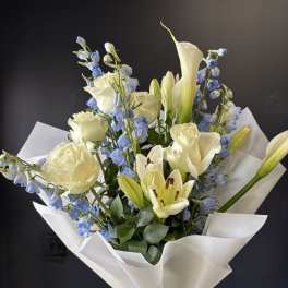 Calla Élan Bleu