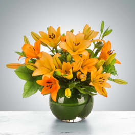 Lily Love by BloomNation™