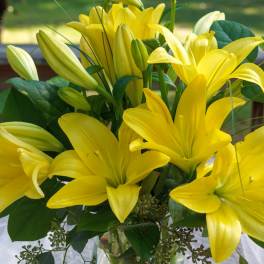 Lily Love by BloomNation™
