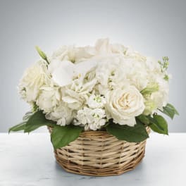 Lace by BloomNation™