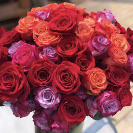 4 dozen roses in a vase