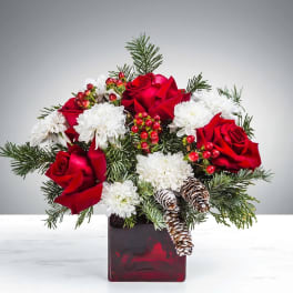 Frosty Love By BloomNation™