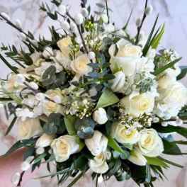 Elegant White Simplicity