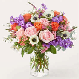 Dressed Up Anemone Bouquet