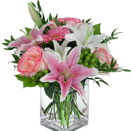 Sweetness and Light Arrangement