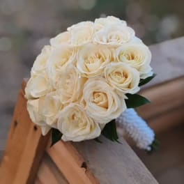 Pure Elegance