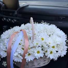 Just Daisies
