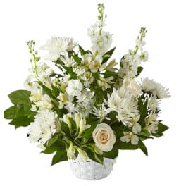Tranquility Basket