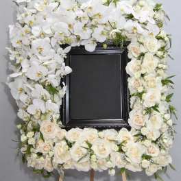 Orchid and Veronica Frame