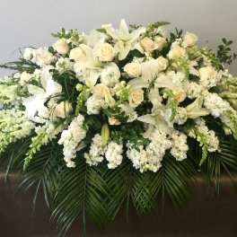 Stargazer Casket
