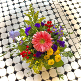 Wildflower Wonder